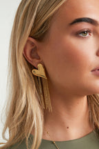 Stainless Steel Dangle Earrings Heart Casual Daily Simple Series Women's jewelry